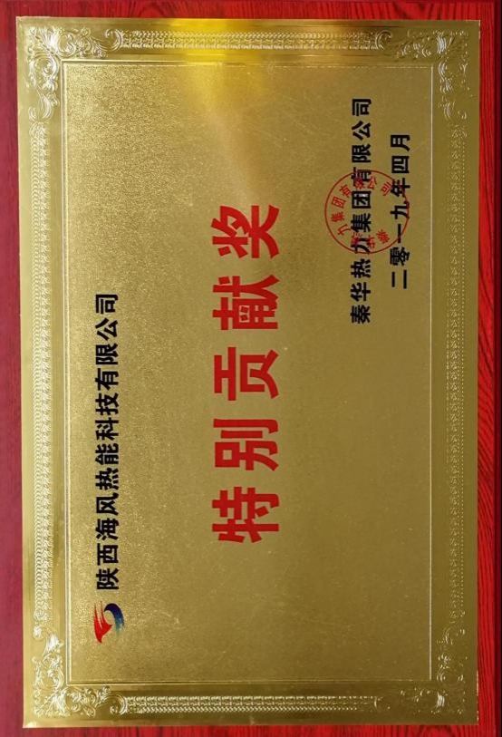 西安秦华热力特别贡献奖
